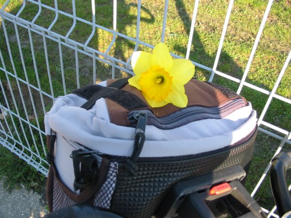 fichier 20060408_0903_velo_annie_fleur-0.jpg