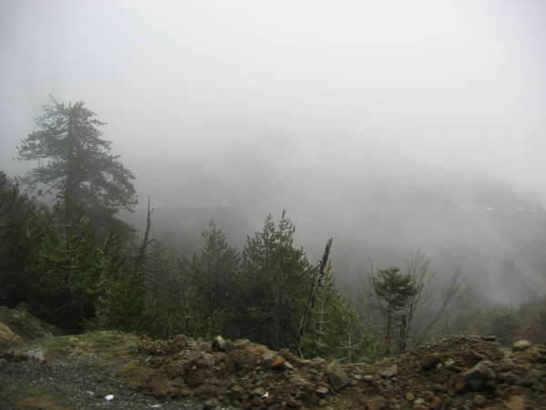 fichier 20060502_1124_brouillard-0.jpg