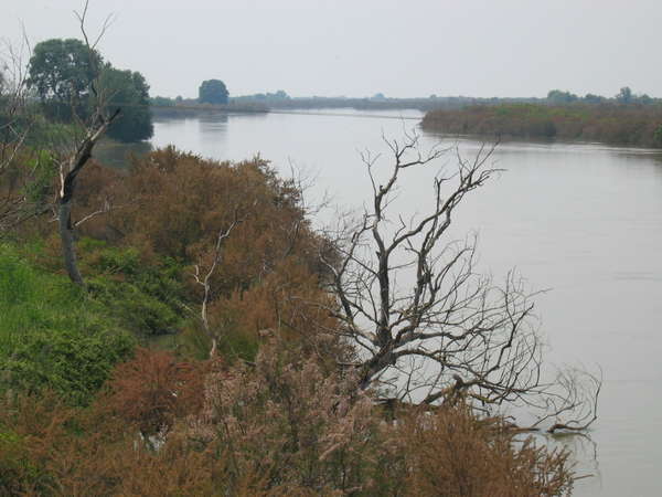 fichier 20060507_1128_mer_egee-0.jpg