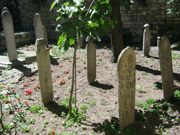 fichier 20060525_1350_cimetiere_musulmans-0.jpg