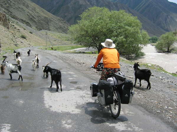 fichier 20060629_0928_057_encombrements_autoroute_pamir-0.jpg