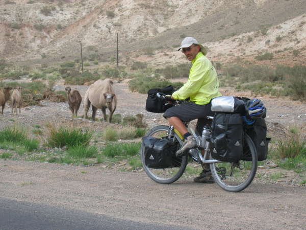 fichier 20060711_0439_228_que_de_chameaux-0.jpg