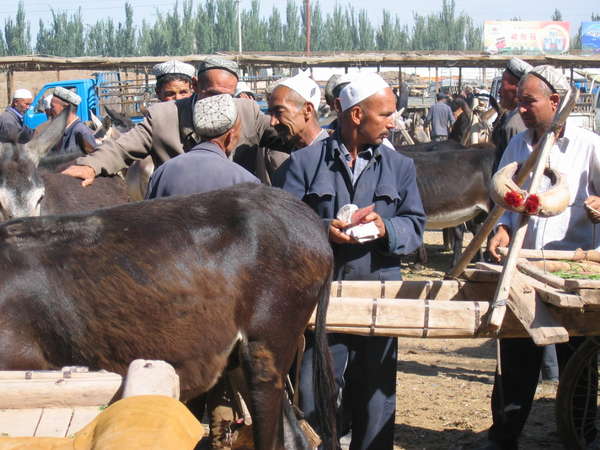 fichier 20060716_054534_transcations_bon_train-0.jpg