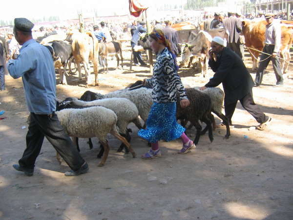 fichier 20060716_060443_marche_dimanche_animaux-0.jpg