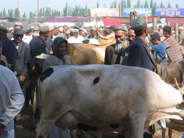 fichier 20060716_060649_marche_dimanche_animaux-0.jpg