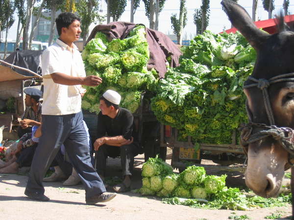 fichier 20060716_061031_belles_salades-0.jpg