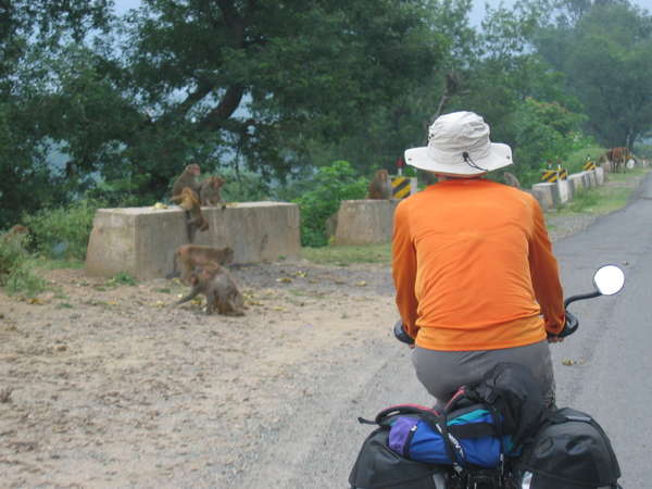 fichier 20060921_060000_0548_13-0.jpg