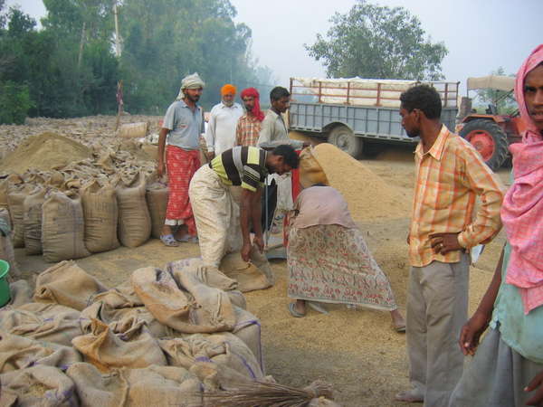 fichier 20060921_070000_0531_12-0.jpg