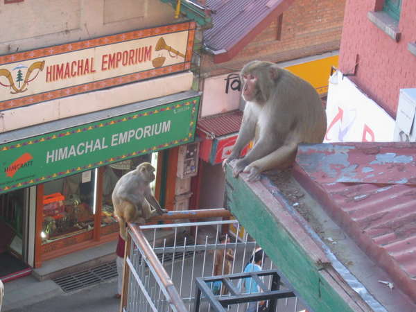 fichier 20061004_110000_016-0.jpg