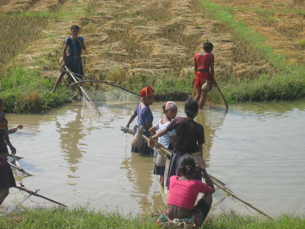 fichier 20061030_120000_162-0.jpg