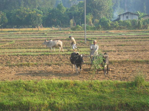 fichier 20061030_130000_156-0.jpg