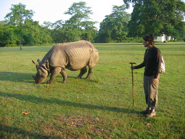 fichier 20061030_140000_265-0.jpg