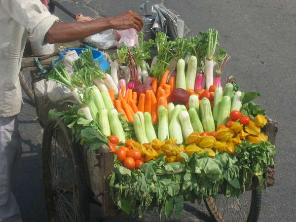 fichier 20061030_200000_048-0.jpg