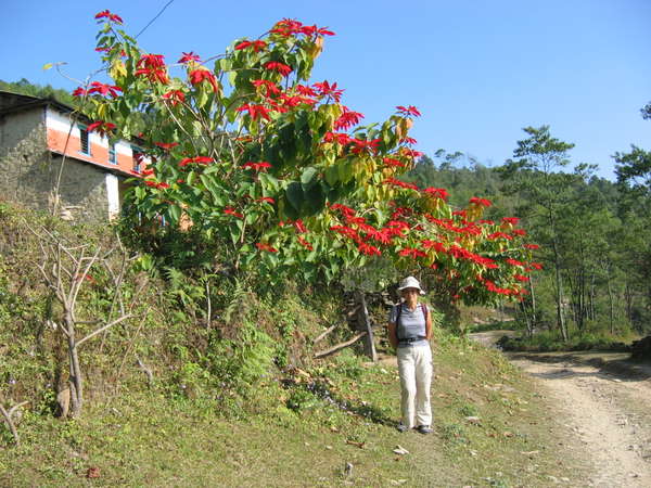 fichier 20061128_181000_trek_667-0.jpg