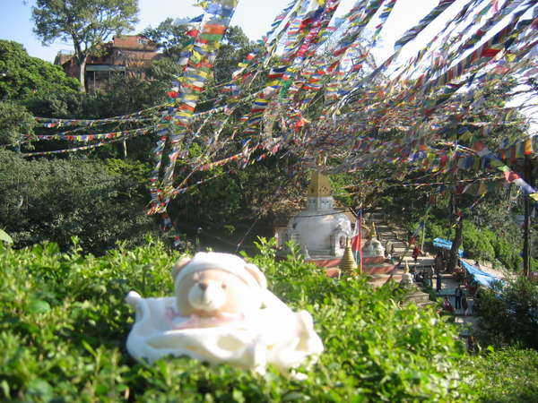 fichier 20061210_020000_0328_kathmandoudou-0.jpg