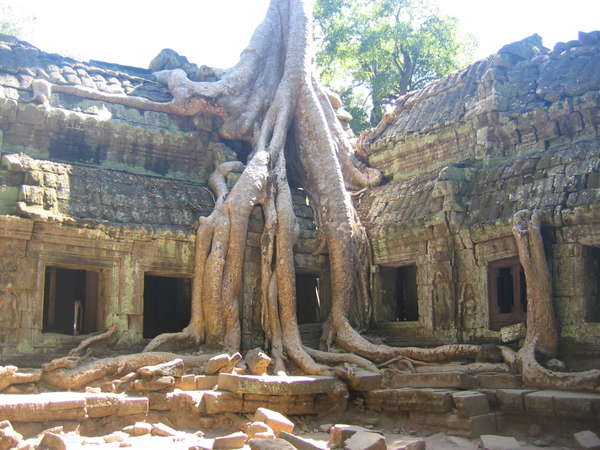 fichier 20070110_0100_0640-0.jpg