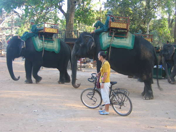 fichier 20070110_0500_0580-0.jpg