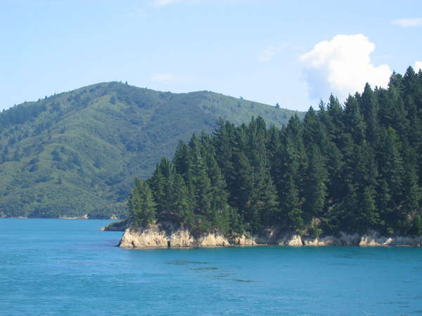 fichier 20070309_1600_0183-0.jpg