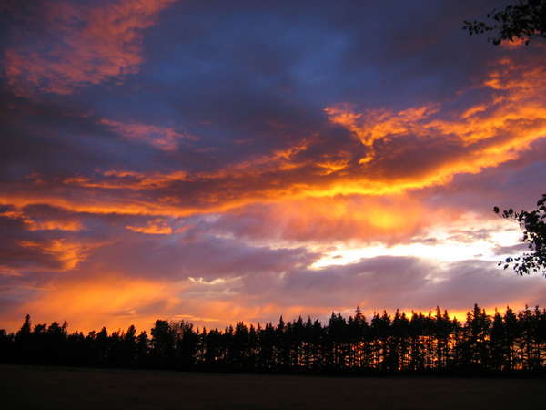 fichier 20070319_040000_0030-0.jpg