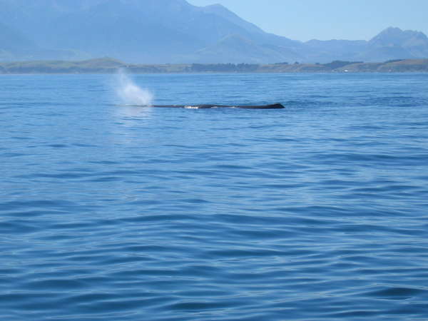 fichier 20070319_080000_0303-0.jpg