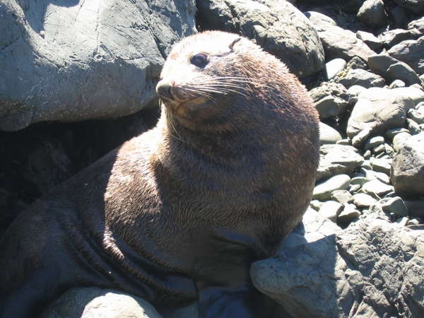 fichier 20070319_090000_0257-0.jpg