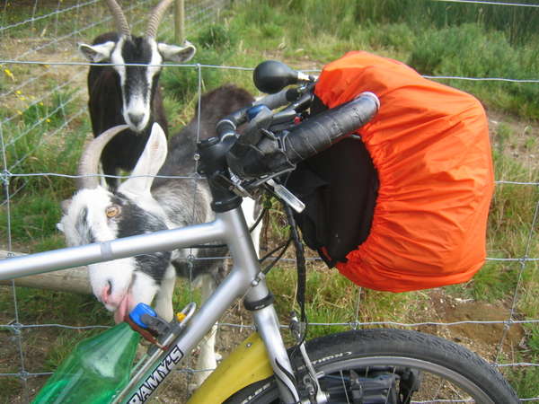 fichier 20070327_140000_0231-0.jpg