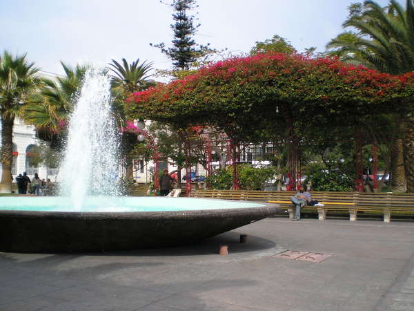 fichier 20070511_210000_048-0.jpg