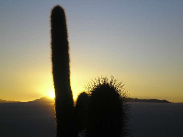 fichier 20070601_110000_0302-0.jpg