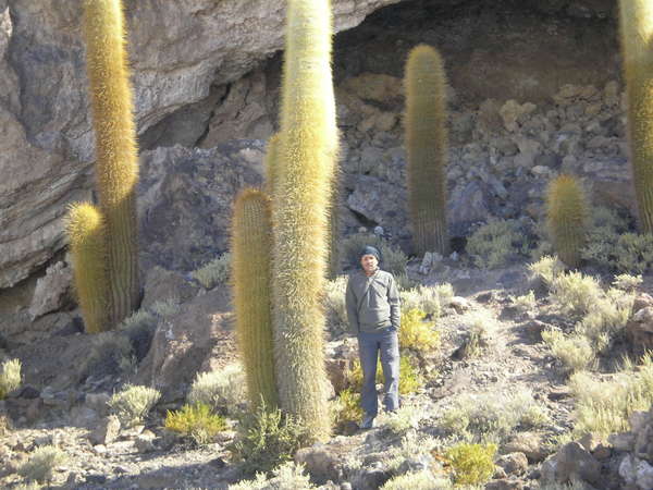 fichier 20070601_120000_0290-0.jpg