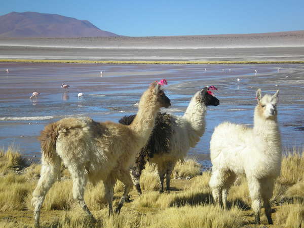 fichier 20070601_200000_0095-0.jpg