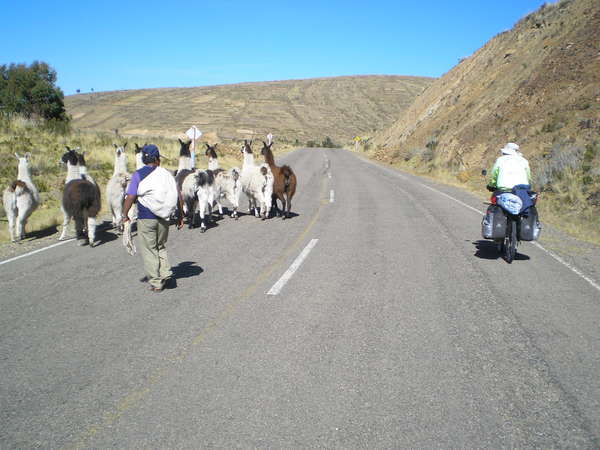 fichier 20070620_180000_00036-0.jpg