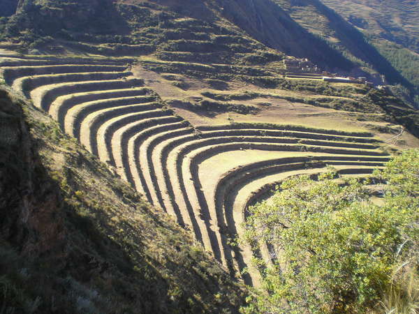 fichier 20070620_090000_0537-0.jpg