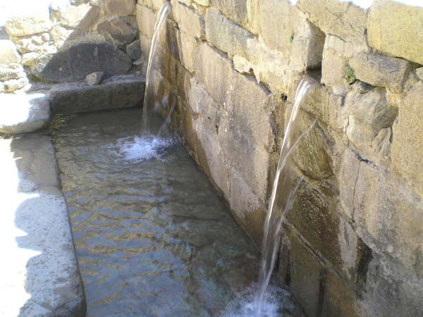 fichier 20070620_110000_0456-0.jpg