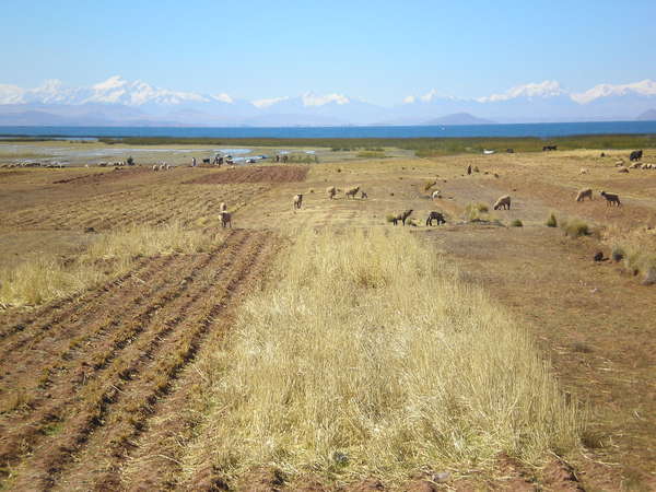 fichier 20070629_060000_425-0.jpg