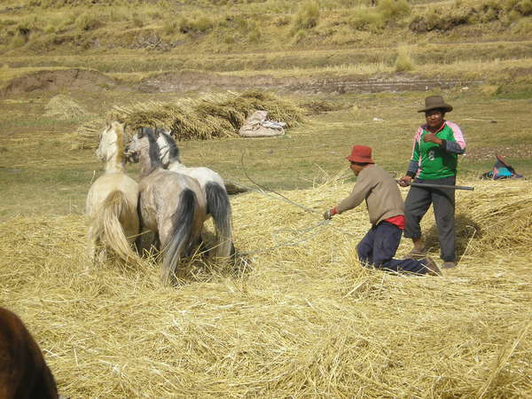 fichier 20070629_220000_060-0.jpg