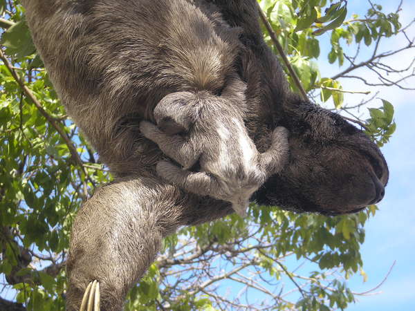 fichier 20070803_130000_0535-0.jpg