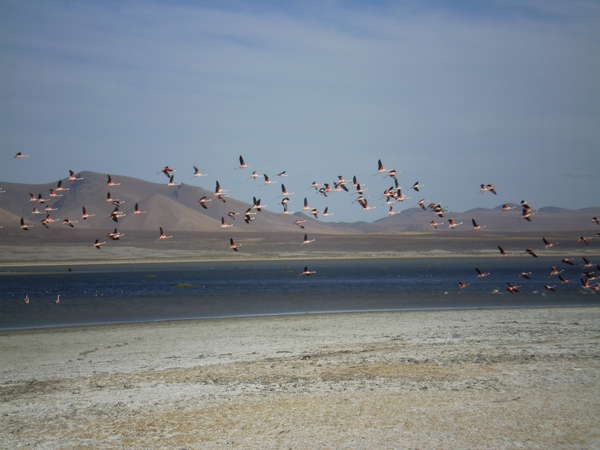 fichier 20070816_120000_0203-0.jpg