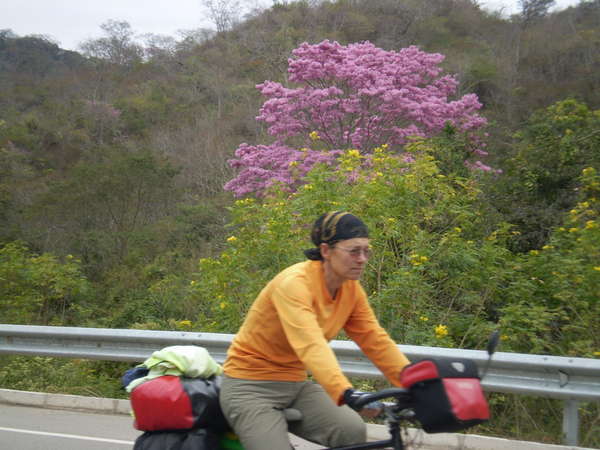 fichier 20070816_220000_0023-0.jpg