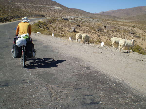 fichier 20070916_080000_0147-0.jpg