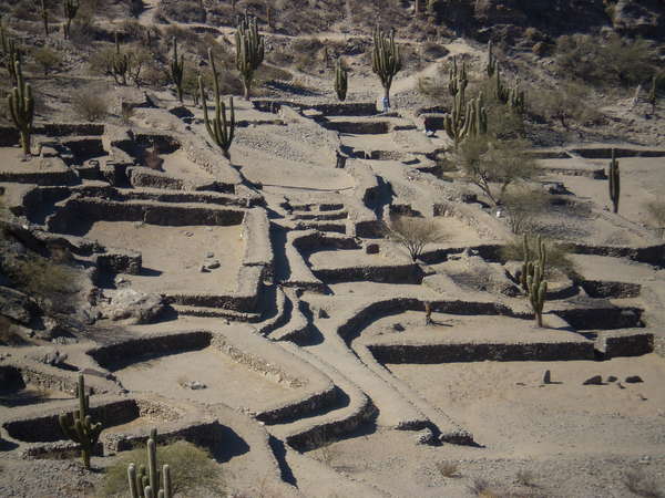 fichier 20070916_090000_0067-0.jpg