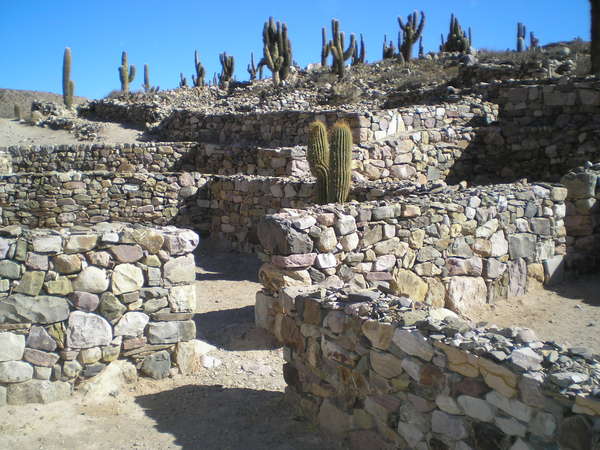 fichier 20070916_170000_0143-0.jpg