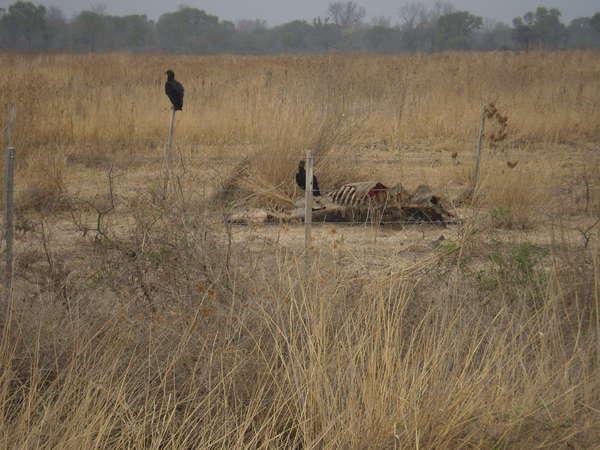 fichier 20070925_210000_0263-0.jpg