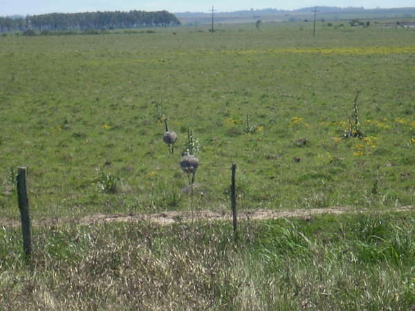 fichier 20071020_130000_0184-0.jpg