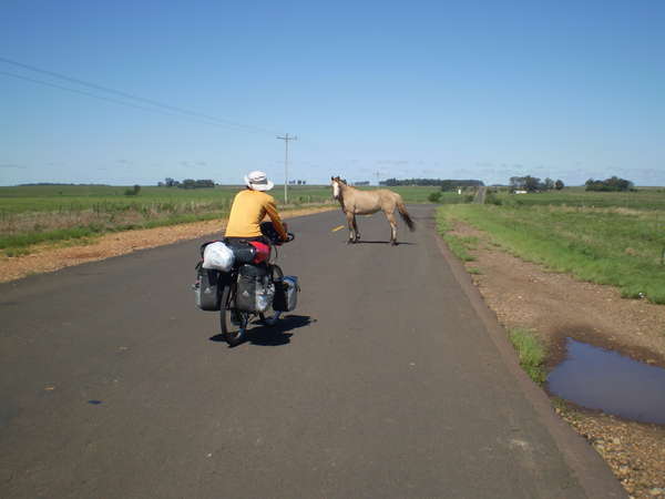 fichier 20071020_160000_0174-0.jpg