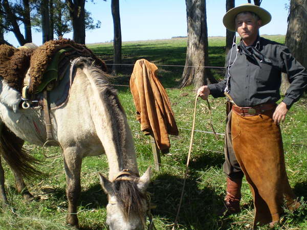 fichier 20071020_170000_0167-0.jpg