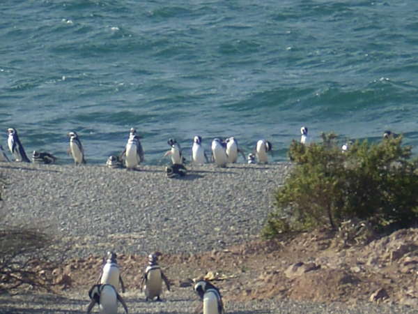 fichier 20071101_140000_0593-0.jpg