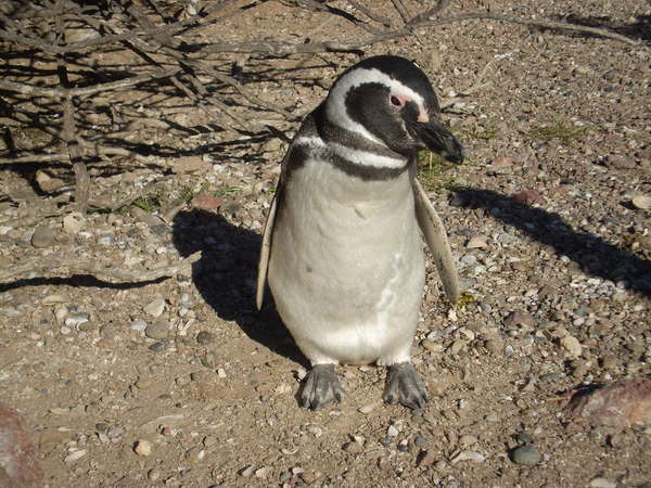 fichier 20071101_150000_0561-0.jpg