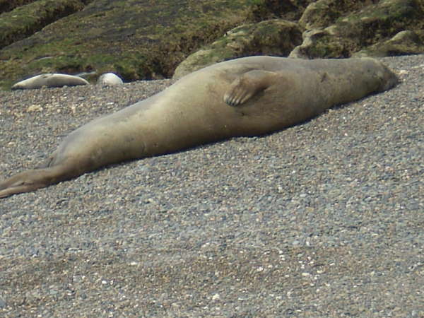 fichier 20071101_190000_0433-0.jpg