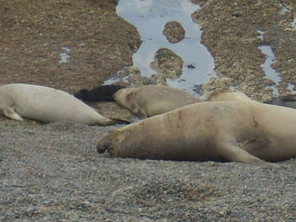 fichier 20071101_200000_0416-0.jpg