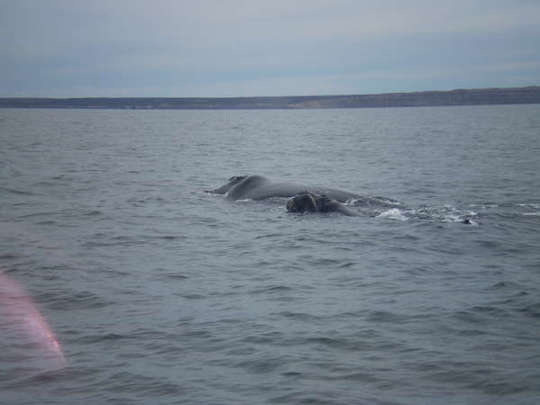 fichier 20071101_210000_0384-0.jpg